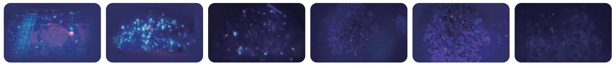 W Series Tungsten tungsten ore sorting machine